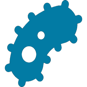 NCCT_Prokaryote_Guidelines